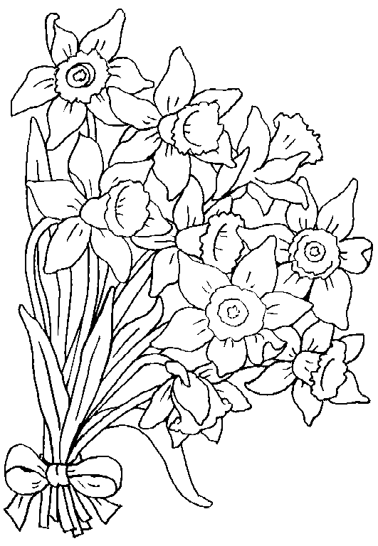 coloriage jonquille 06