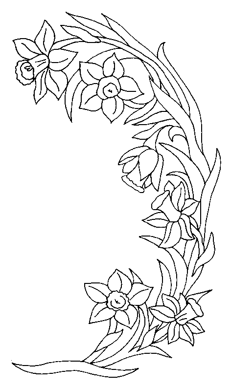 coloriage jonquille 07