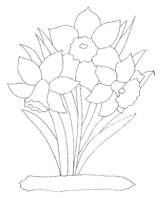 coloriage jonquille 12