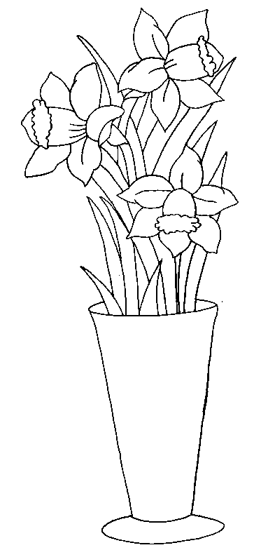 coloriage jonquille 13