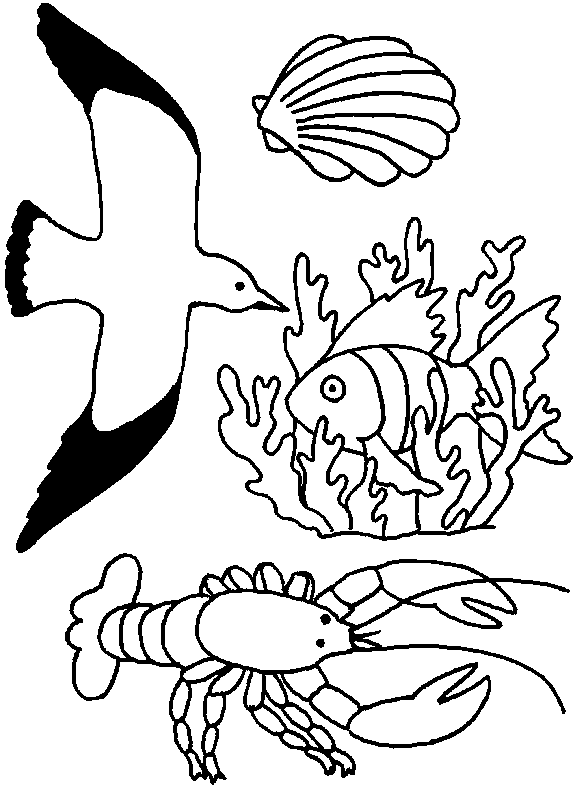 coloriage de la mer 12