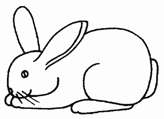 coloriage lapin 02