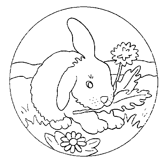 coloriage lapin 19