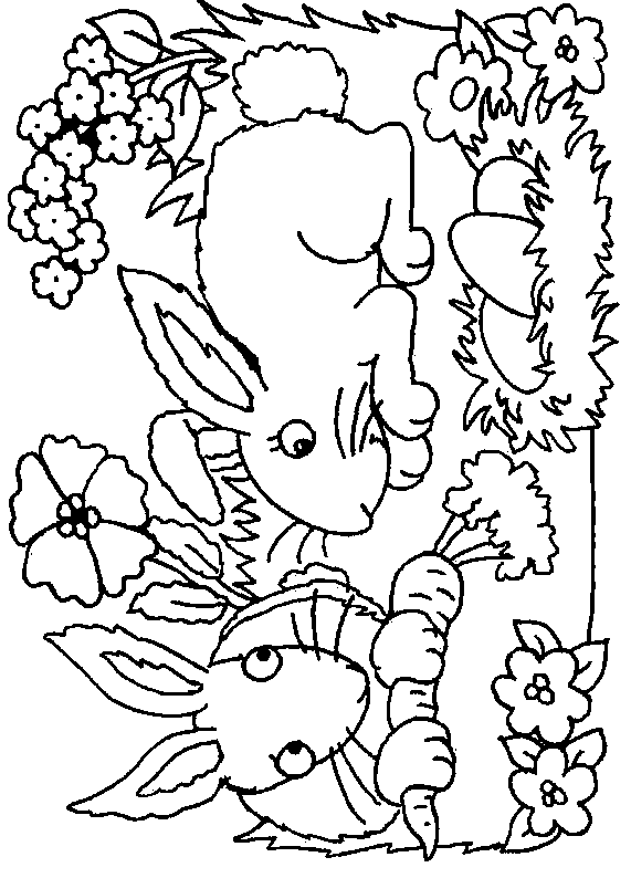 coloriage lapin 20