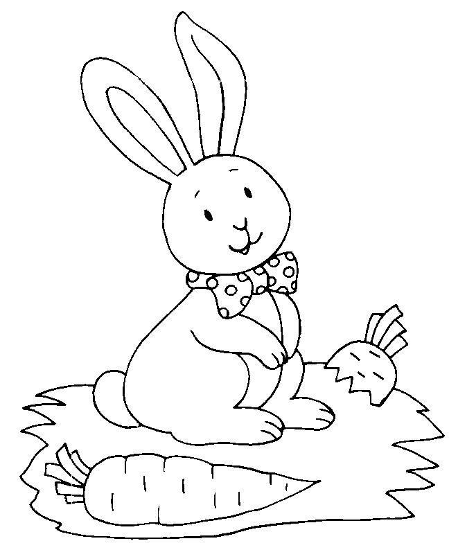 coloriage lapin 22
