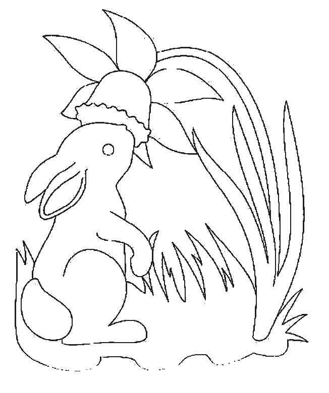 coloriage lapin 35