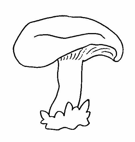 coloriage de champignon2 05