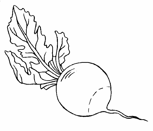 coloriage de navet 07
