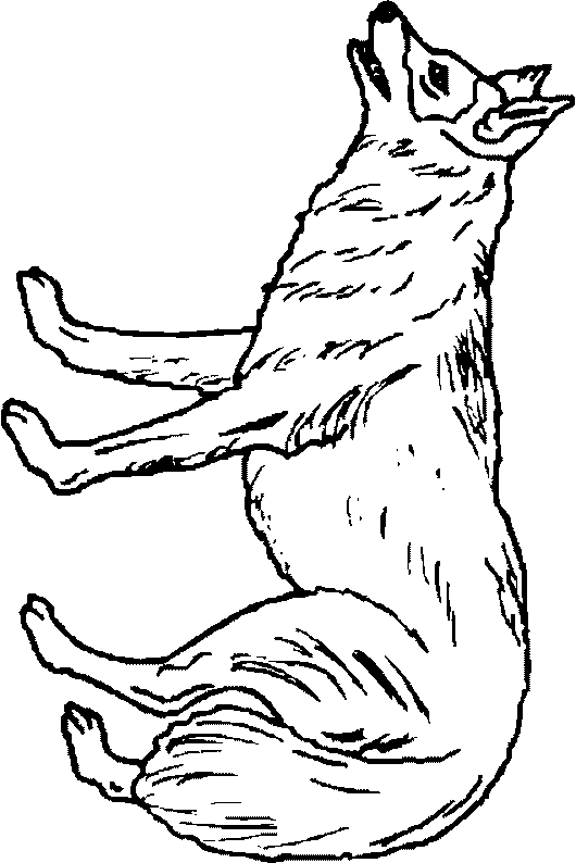 coloriage loup 09 Coloriage en ligne gratuit pour enfant