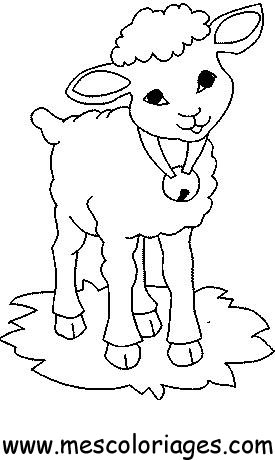 coloriage mouton 01
