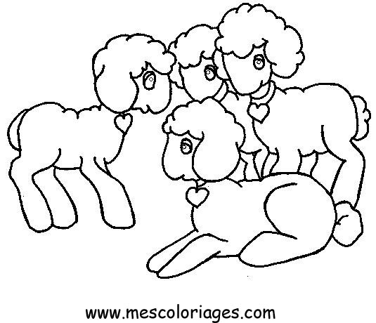 coloriage mouton 42