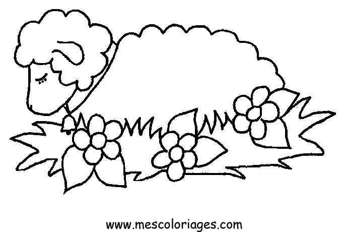 coloriage mouton 46