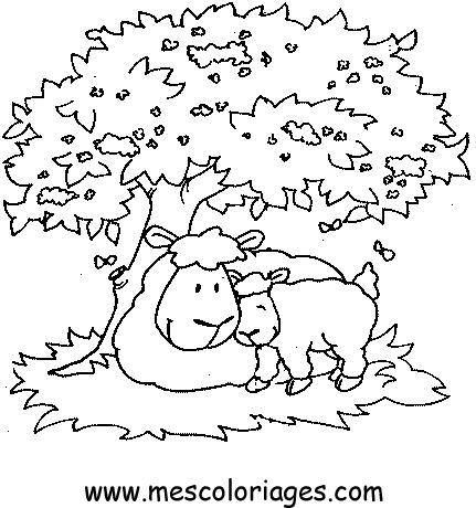 coloriage mouton 49