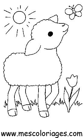 coloriage mouton 70