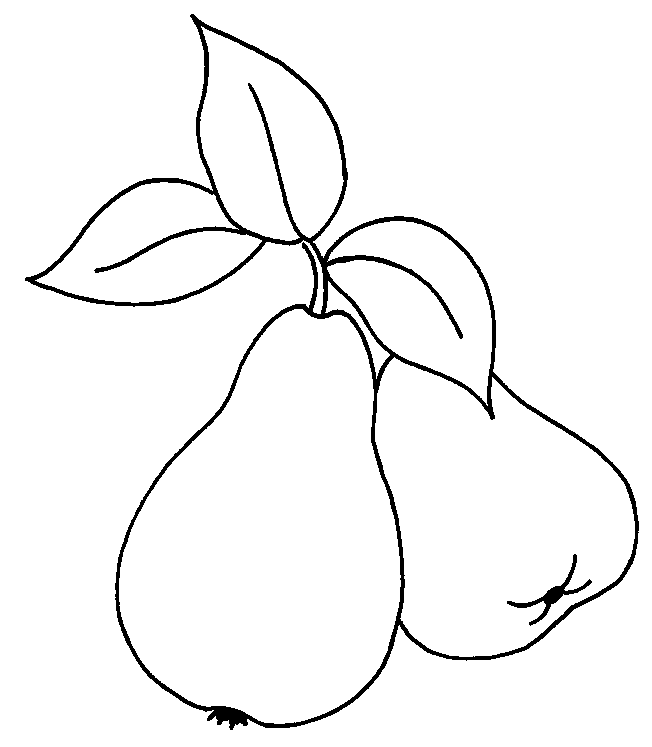 coloriage poire 07