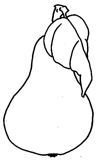 coloriage poire 10