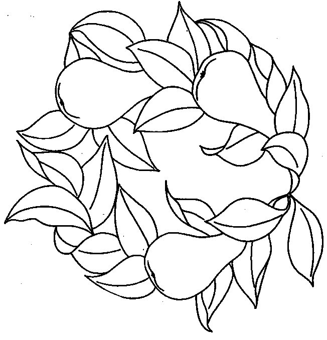 coloriage poire 12