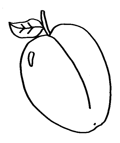 coloriage prume 01