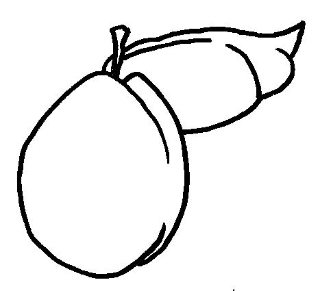 coloriage prume 03