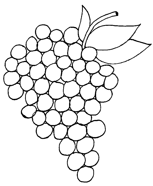 coloriage raisin 01