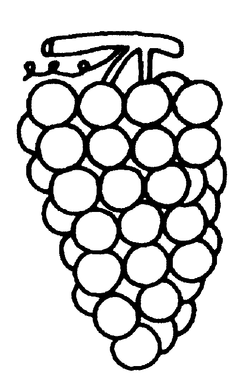 coloriage raisin 02