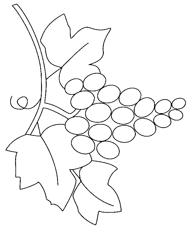 coloriage raisin 07