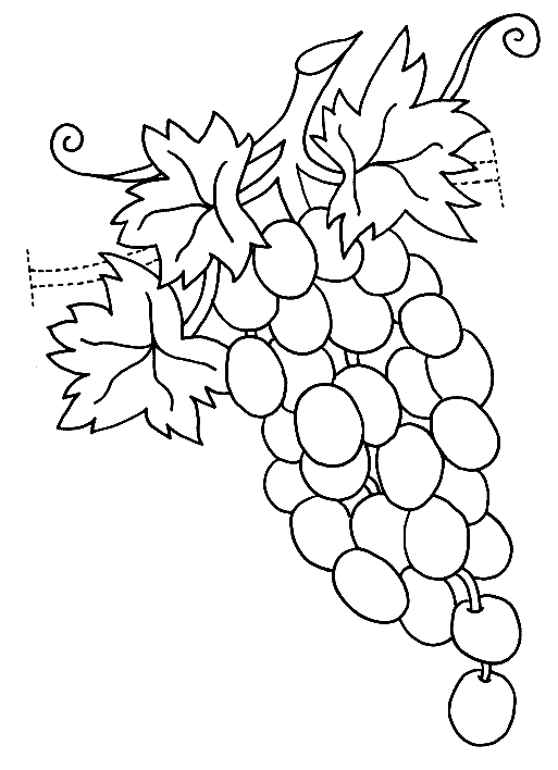 coloriage raisin 09