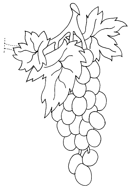 coloriage raisin 10
