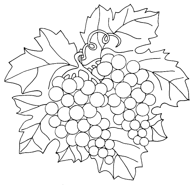 coloriage raisin 11