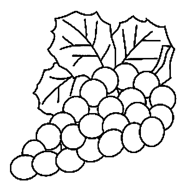 coloriage raisin 15