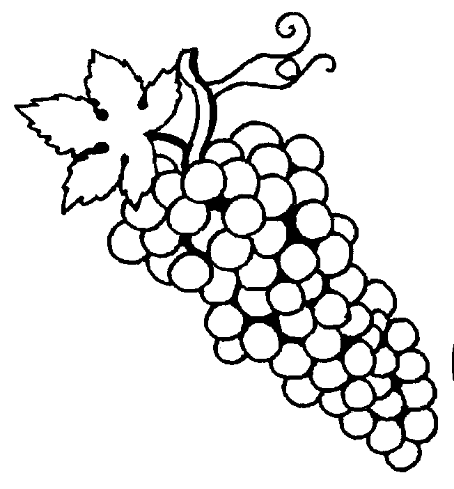 coloriage raisin 17