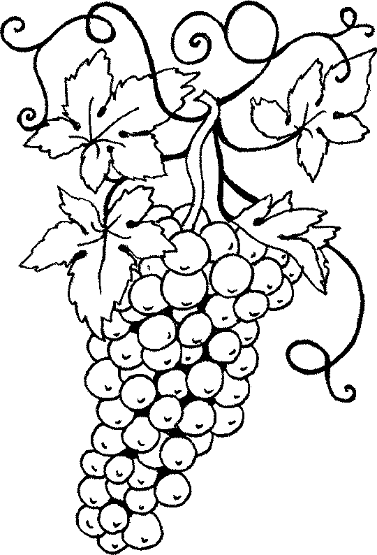 coloriage raisin 19