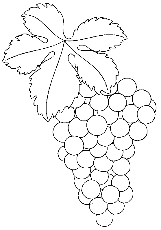 coloriage raisin 21