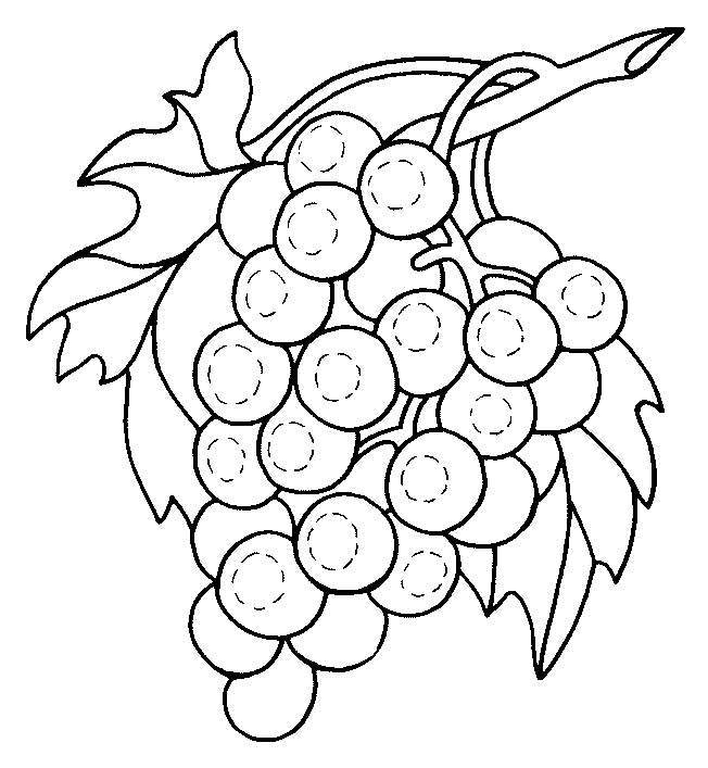 coloriage raisin 23