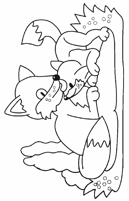 coloriage renard 04