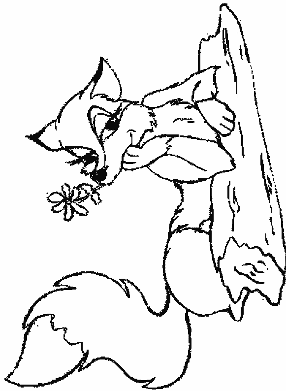 coloriage renard 06