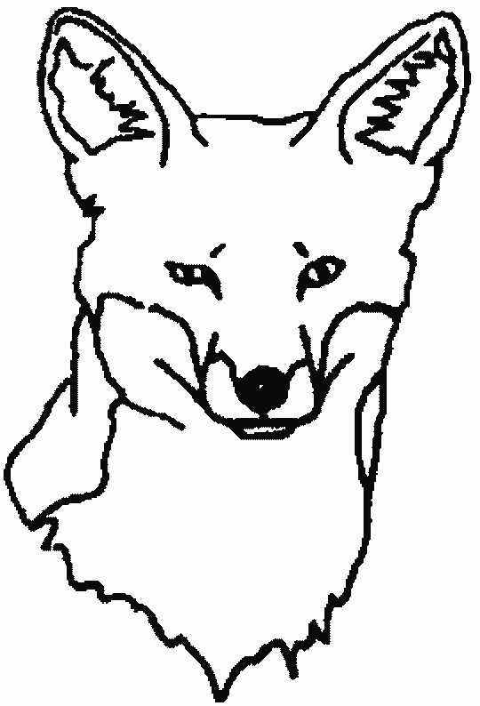 coloriage renard 08