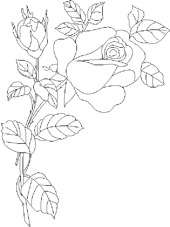 coloriage rose 02  Coloriage en ligne gratuit pour enfant