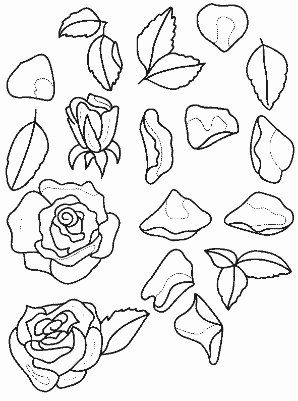 coloriage rose 06