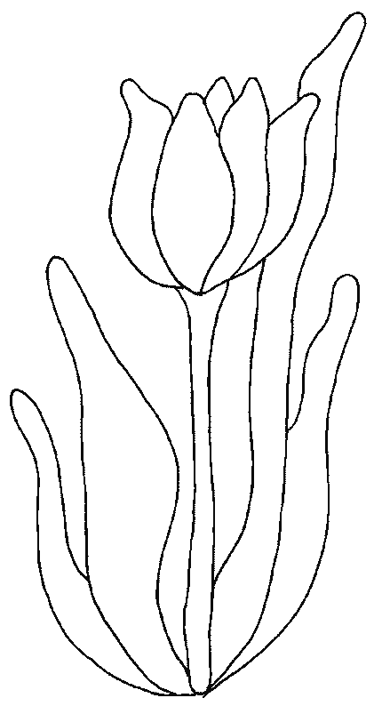 coloriage tulipe 01