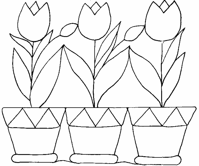 coloriage tulipe 04