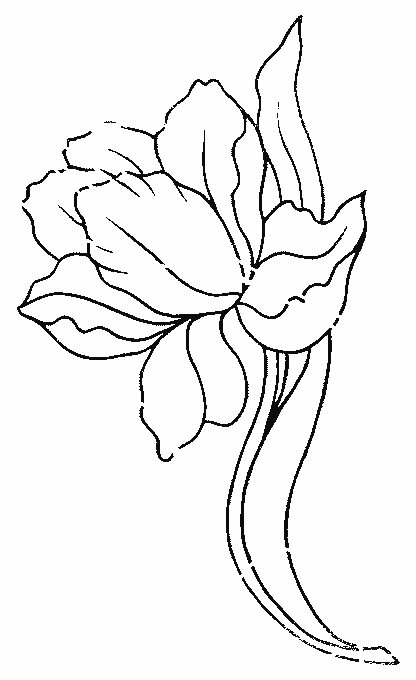 coloriage tulipe 10