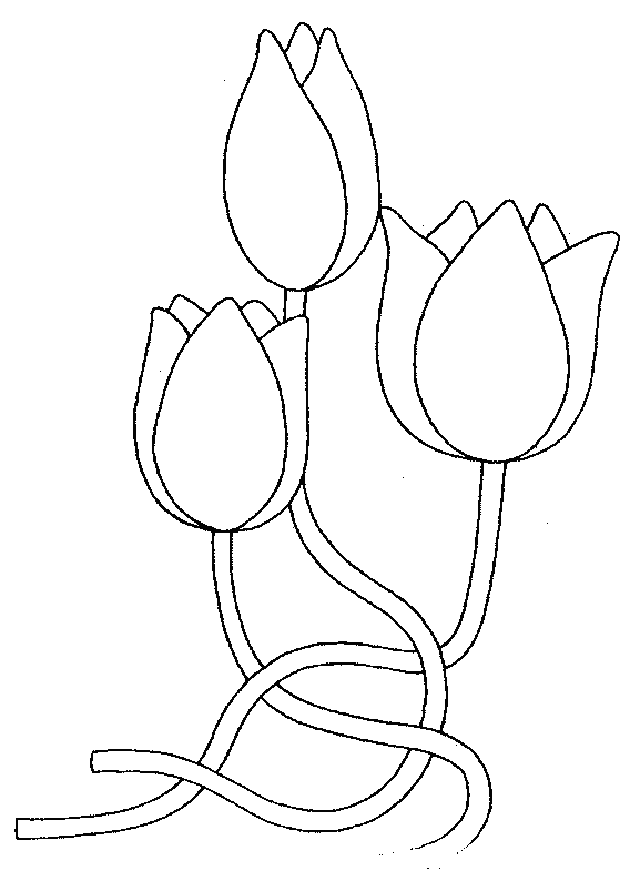 coloriage tulipe 16