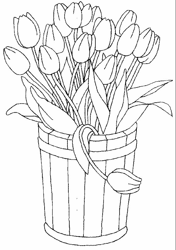 coloriage tulipe 18