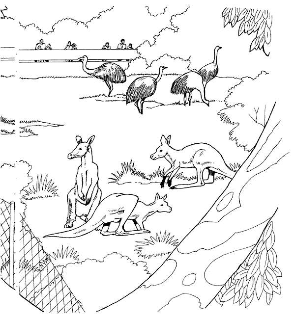 coloriage les animaux du zoo 12  Coloriage en ligne gratuit pour enfant