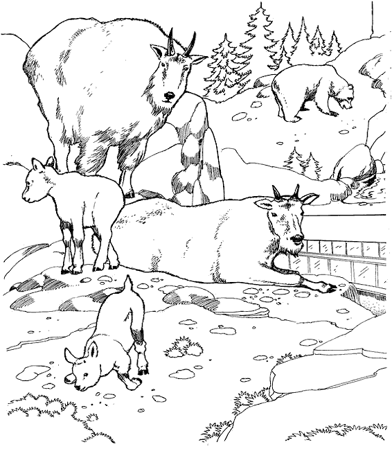 coloriage les animaux du zoo 14  Coloriage en ligne gratuit pour enfant