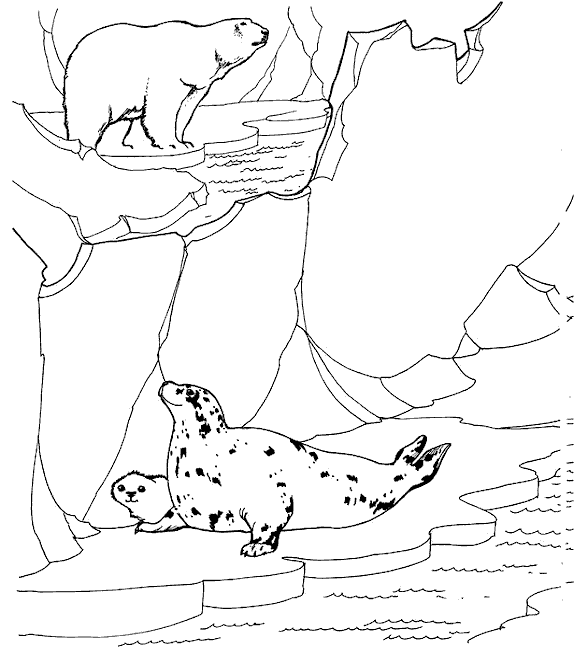 coloriage les animaux du zoo 19