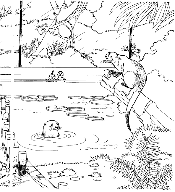 coloriage les animaux du zoo 22
