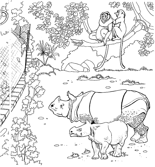 coloriage les animaux du zoo 25