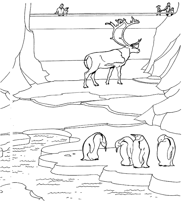 coloriage les animaux du zoo 26  Coloriage en ligne gratuit pour enfant